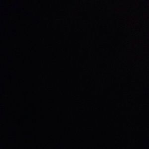 Meet your Posher, Chase